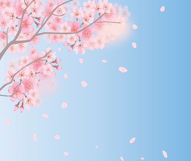 無料印刷可能綺麗 桜 吹雪 イラスト